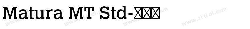 Matura MT Std字体转换